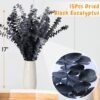 15pcs Real Black Eucalyptus Stems – 17" Preserved Leaves for DIY & Halloween Décor - Image 4