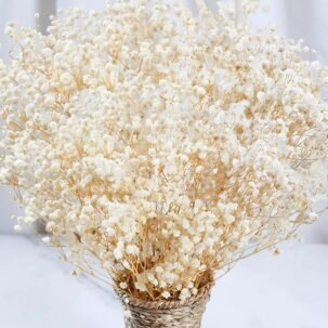 2000+ Dried Baby’s Breath Flowers – 17" Ivory Gypsophila Bouquet for Wedding & DIY