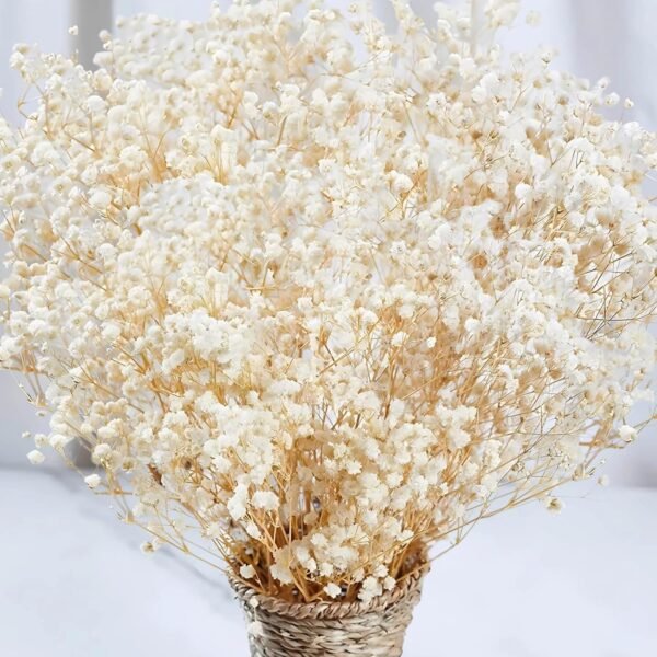 2000+ Dried Baby’s Breath Flowers – 17" Ivory Gypsophila Bouquet for Wedding & DIY