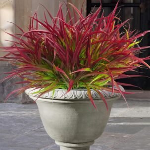 12-Pack UV Resistant Faux Grass Shrubs – Deep Red Artificial Outdoor Plants for Home & Garden Decor
