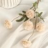Floroom 5pcs Faux Silk Pompon Mum Flowers – Mini Chrysanthemums for DIY & Wedding Décor (Beige) - Image 3