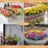 6 Bundles UV-Resistant Artificial Rainbow Daisy & Mum Flowers – Indoor & Outdoor Décor - Image 2