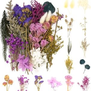 Vignee Real Dried Pressed Daisy Flowers – Violet for Resin Jewelry & DIY Crafts