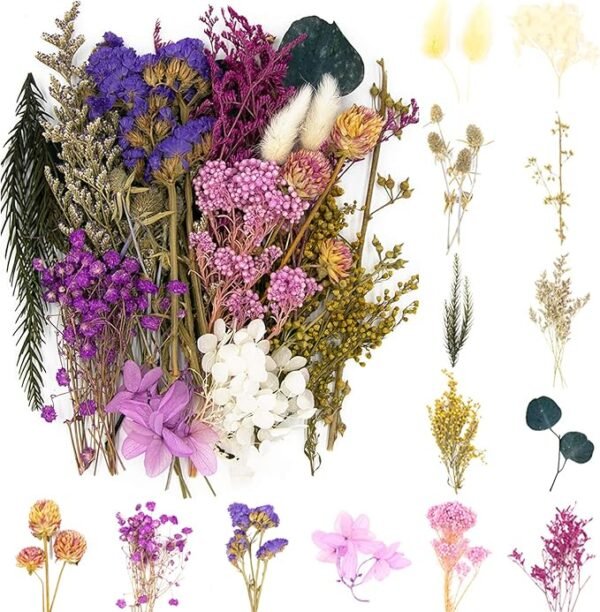 Vignee Real Dried Pressed Daisy Flowers – Violet for Resin Jewelry & DIY Crafts