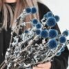 20+ Dried Blue Thistle Flowers – 15" Preserved Echinops for Wedding & Home Décor - Image 2