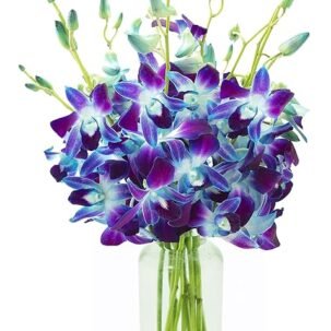 KaBloom Exotic Blue Orchid Bouquet with Vase – Fresh Flowers from Thailand, Gift for Any Occasion