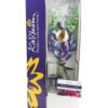 KaBloom Exotic Blue Orchid Bouquet with Vase – Fresh Flowers from Thailand, Gift for Any Occasion - Image 2