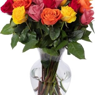Benchmark Bouquets 24-Stem Rainbow Roses with Vase – Fresh Flower Gift for Any Occasion