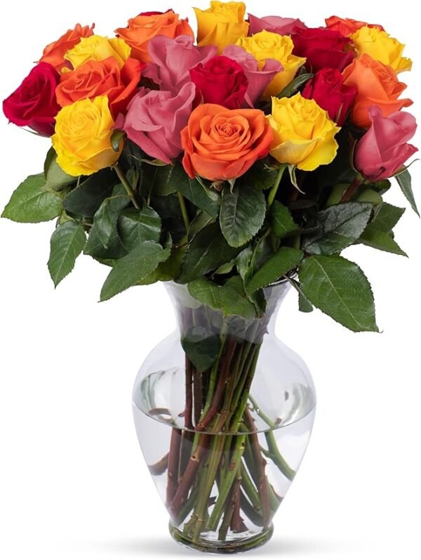 Benchmark Bouquets 24-Stem Rainbow Roses with Vase – Fresh Flower Gift for Any Occasion