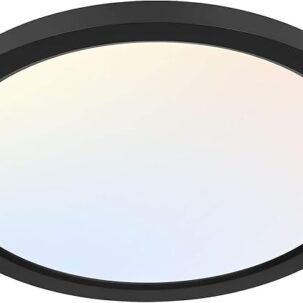 12" LED Round Panel Light – 24W Selectable CCT (3000K/4000K/5000K), Black Flush Mount