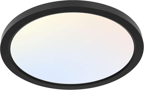 12" LED Round Panel Light – 24W Selectable CCT (3000K/4000K/5000K), Black Flush Mount