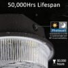 50W LED Barn Light – Dusk to Dawn, 7500lm, 5000K, IP65 Waterproof, MH/HPS 500W Replacement - Image 3