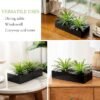 10" Faux Grass Plant – Black Wood Planter for Tabletop Decor - Image 4