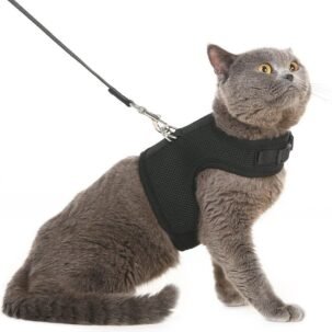 Escape-Proof Mesh Cat Harness and Leash Set for Small Dogs