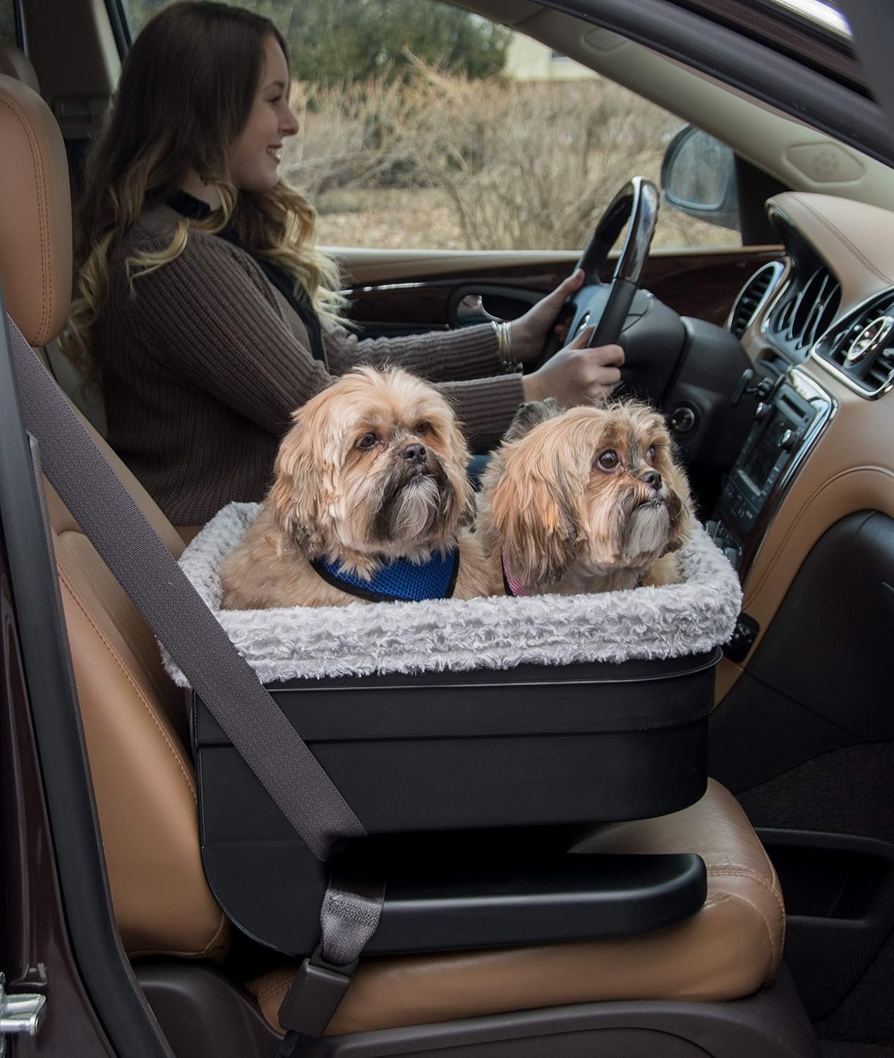 Pet Booster Seat with Washable Liner and Safety Interior Tethers - Image 2