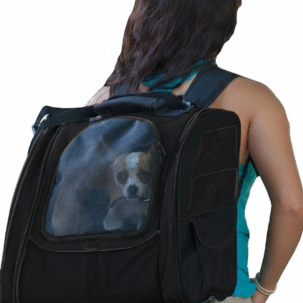 4-in-1 Pet Roller Backpack, Travel Carrier, and Car Seat Combo