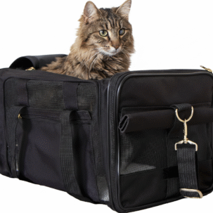 Black Soft-Sided Pet Carrier, Guaranteed On Board for Air Travel